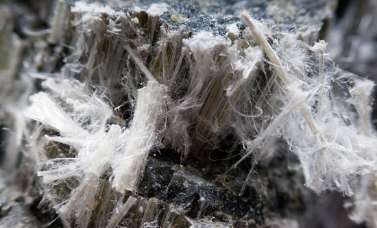 A & L Asbestos Services