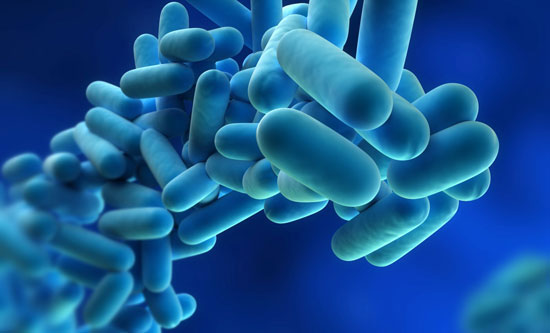 A & L Legionella Services